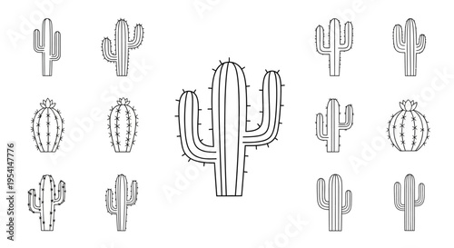 Various Cactus Plants and Shapes.