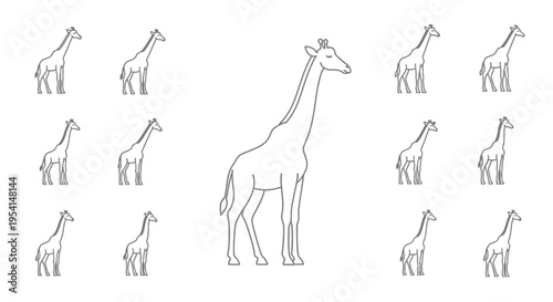 Giraffe standing among smaller giraffes.