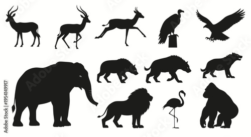 Wildlife animal silhouettes on white background for design and commercial use