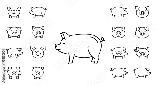 Pig and various piglet line drawings.