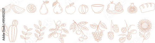 Sketch of Culinary Ingredients: An artistic outline sketch showcases an array of fresh food elements, from citrus fruit to ripe berries and bread. This illustrative design exudes culinary flair.