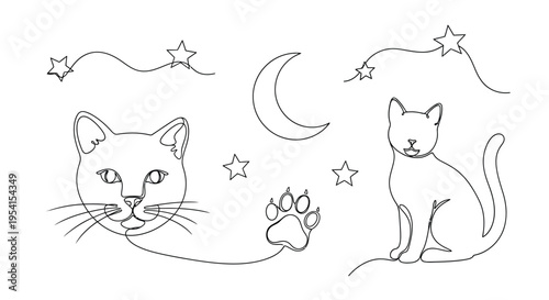 Two cats play under a moonlit night sky with stars