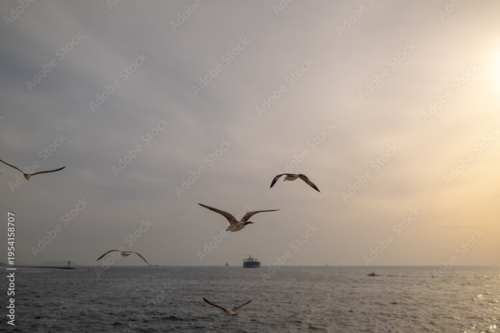 Naklejka premium Seagulls glide over a calm sea at sunset