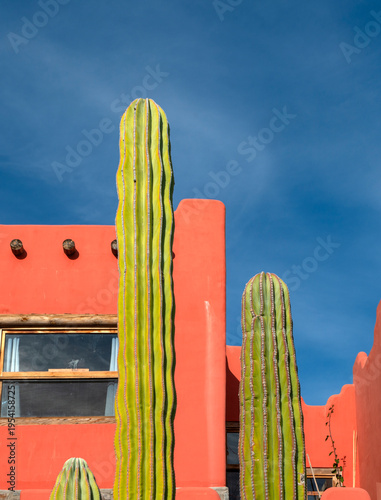 Wallpaper Mural Mexica house with a big cactus Torontodigital.ca