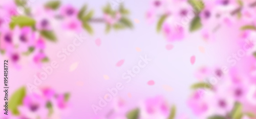 Pink cherry blossom flower branches, buds and leaves set, sakura illustration with petals, Japanese spring floral background for pattern and frame design.