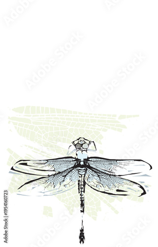 Woodcut expressionist style image of a Dragonfly