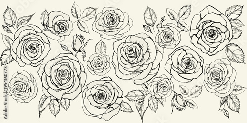 A collection of delicately sketched roses in a repeating pattern
