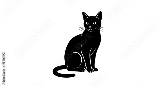 Black cat sitting on white background.