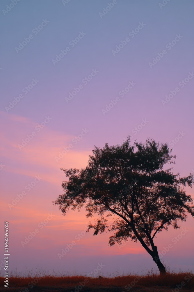 Obraz premium Single windswept tree silhouette against soft pink and purple sunset sky over grassy plain creating peaceful twilight scene