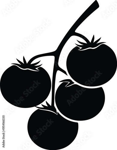 Vector silhouette fresh ripe tomatoes on vine stem healthy harvest design