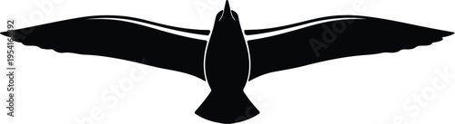 Vector silhouette of a flying seagull with spread wings isolated design