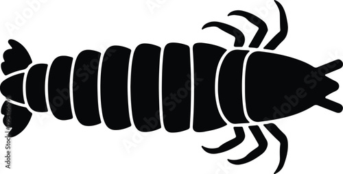 Vector silhouette of a shrimp seen from above isolated on white design