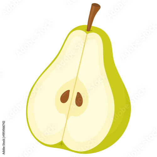 Green half pear fruit. Organic food hand drawn vector illustration. Half of green pear isolated on white background.