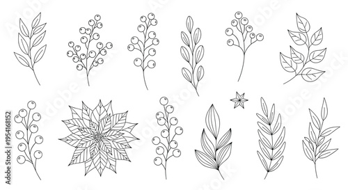 Large collection of botanical illustrations featuring different types of leaves, berry branches, and a poinsettia flower in line art.