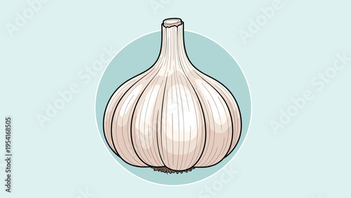 Detailed illustration of a whole white garlic bulb isolated against a soft blue circular background for cooking and health.