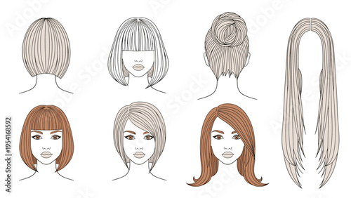 Collection of various female hairstyles and cuts shown from different angles and colors including bob, bun, and long hair.