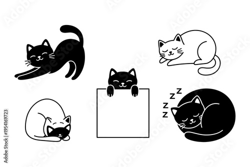 Sleeping cats in different poses and styles