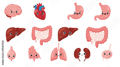 Large set of cute human internal organ characters with smiling faces including brain, heart, stomach, liver, lungs, and kidneys.