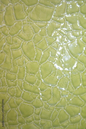 green leather texture