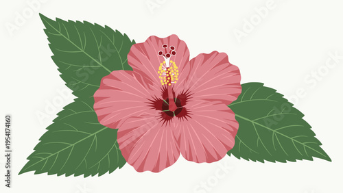 Vibrant pink hibiscus flower in full bloom with large detailed green leaves on a soft light background for floral concepts.