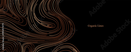 Elegant white and gold line vector organic pattern in Japanese style, abstract wave water contour, cloud topography premium fancy minimal template.