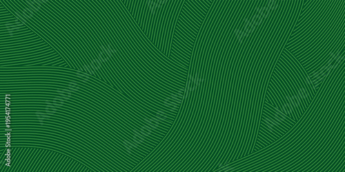 farm green banner, organic abstract background with fields. illustrstiom modern