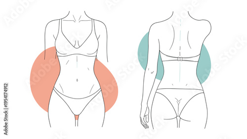 Line art illustration showing the front and back views of a female torso in underwear for lingerie design or anatomical reference.
