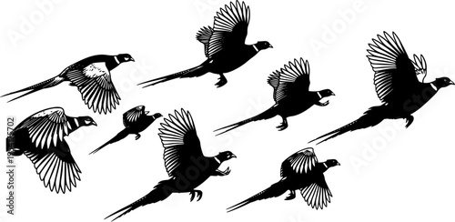 Pheasant silhouette, Flying pheasant silhouette, Pheasant SVG, Pheasant silhouette clip art, Bird silhouettes, Bird SVG, Bird clip art
