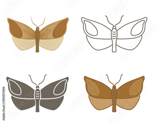 Codling moth butterfly set. Garden pest insect vector in flat, line and silhouette styles