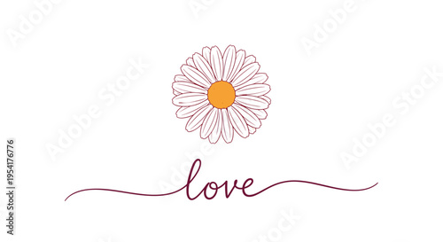 Single white daisy flower with an orange center and the word love written in elegant cursive script on a white background.