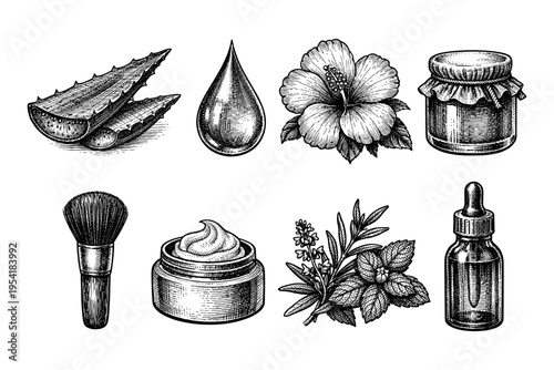 Vintage botanical illustrations of natural cosmetic ingredients and tools