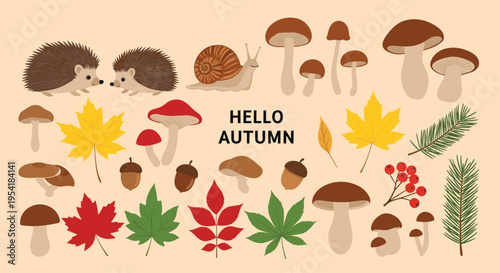 Hello Autumn collection of cute woodland elements, including hedgehogs, a snail, various mushrooms, and colorful fall foliage.