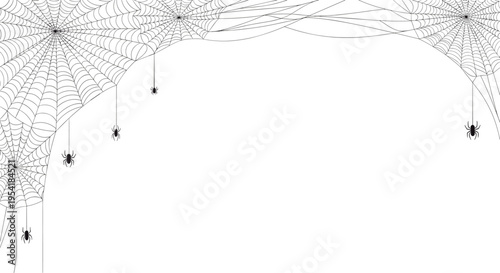 Intricate black and white border design composed of detailed spiderwebs and small spiders, perfect for a spooky Halloween frame.