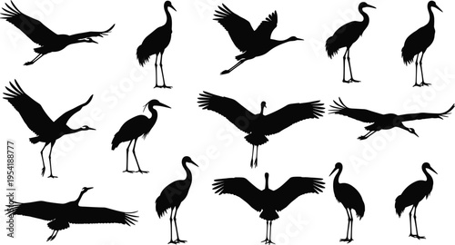 Large collection of fourteen black crane and heron silhouettes featuring various flying and standing poses isolated on white background for wildlife nature and decoration design