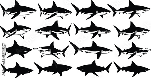 Set of sixteen black and white shark silhouettes featuring great white hammerhead and bull shark species isolated on a white background for marine design