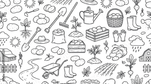 Organic potato farming and fresh harvest concept focused on natural food production, sustainability, and simple countryside lifestyle. Objects of potato, potato cut, plant sprout,