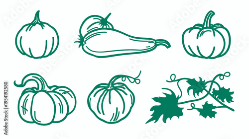 Green line art of pumpkins, a zucchini, and vine leaves, isolated on white