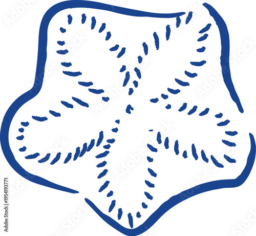 Starfish Top View Hand Drawn