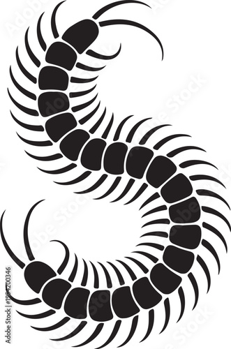 Black Centipede Insect Illustration on a white Background
