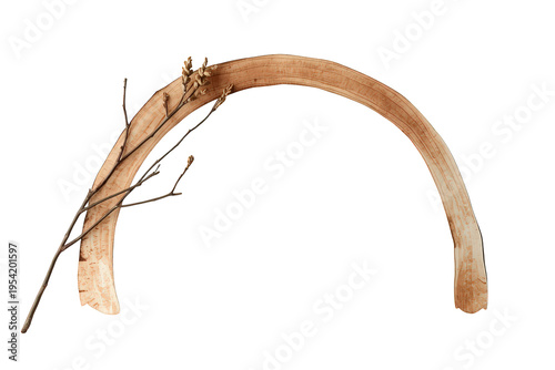 Wooden arch frame with natural branch and dry buds, a rustic organic design element on transparent background