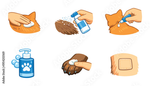 Cat receiving topical care and treatment on dark background