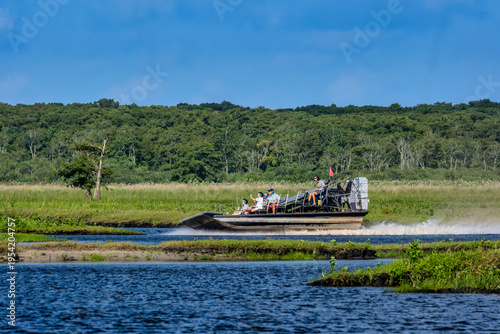 Experience thrilling airboat adventures on the Saint Johns River - Explore wildlife and natural beauty up close! Florida, USA