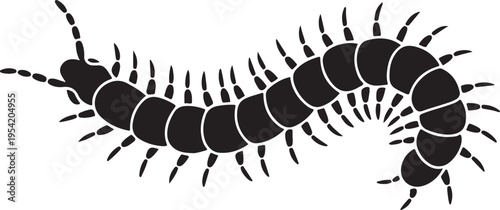 Black Silhouette of a Centipede on White Background with Segmented Body