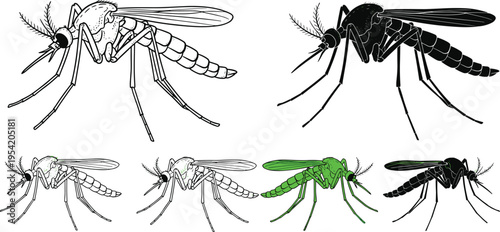 "Vector collection of mosquito illustrations in multiple styles with detailed wings, legs, antennae, and proboscis isolated on white background for biological, medical, and design projects"