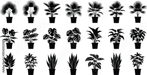 "Vector collection of potted plant silhouettes featuring tropical, palm, and indoor species arranged in decorative botanical designs isolated on white background for nature and design projects"