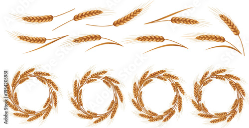 "Vector illustration set of golden wheat stalks and decorative wreaths symbolizing harvest, agriculture, farming, and rural design elements isolated on white background"