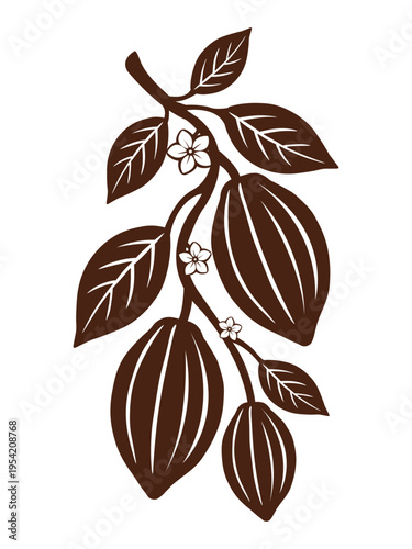Сocoa tree branch vector flat illustration isolated on white background. Cocoa pods, beans elements with  blooming flowers. Art for web and packaging graphic design. 