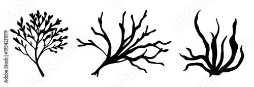 Seaweed set with diverse shapes and detailed silhouette design featuring aquatic plants, marine flora, underwater vegetation with ocean life and natural forms