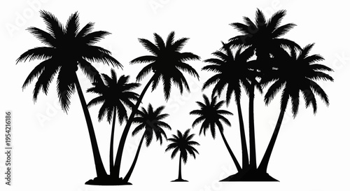 Collection of black palm tree silhouettes isolated on a white background, featuring various species of tropical coconut trees with detailed fronds and trunks for graphic design.
