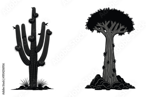 Saguaro cactus and dragon tree illustration